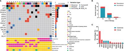 Longitudinal Circulating Tumor DNA Profiling in Metastatic Colorectal Cancer During Anti-EGFR Therapy